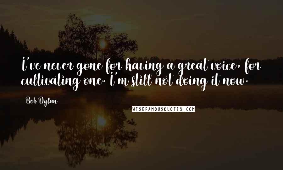 Bob Dylan Quotes: I've never gone for having a great voice, for cultivating one. I'm still not doing it now.