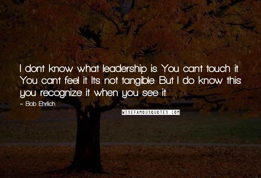 Bob Ehrlich Quotes: I don't know what leadership is. You can't touch it. You can't feel it. It's not tangible. But I do know this: you recognize it when you see it.