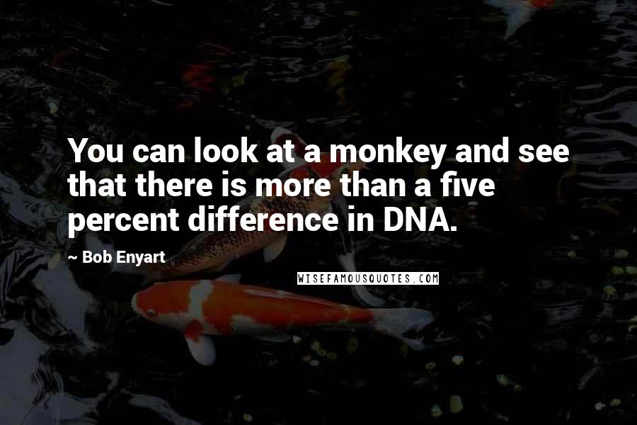 Bob Enyart Quotes: You can look at a monkey and see that there is more than a five percent difference in DNA.