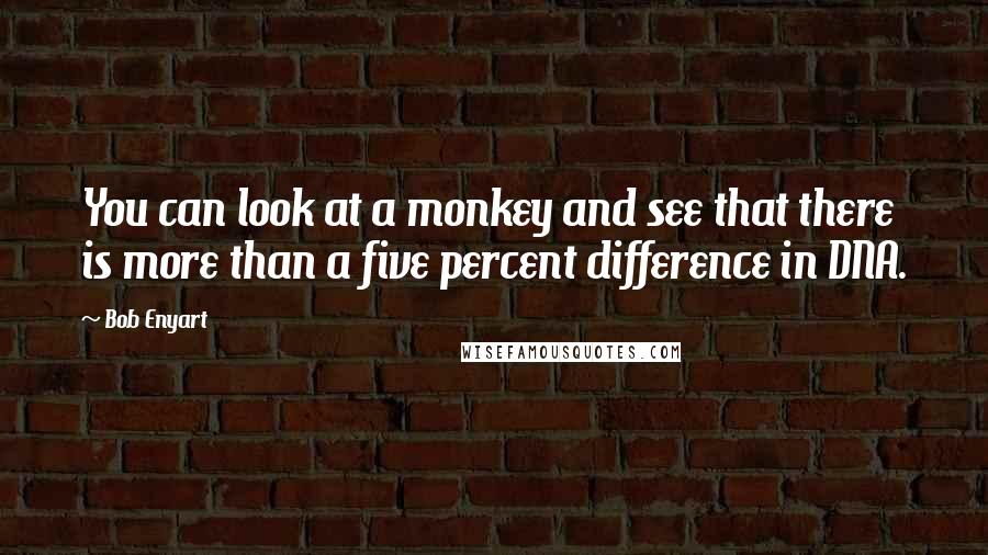 Bob Enyart Quotes: You can look at a monkey and see that there is more than a five percent difference in DNA.
