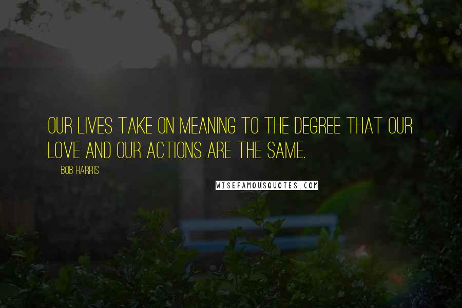 Bob Harris Quotes: Our lives take on meaning to the degree that our love and our actions are the same.