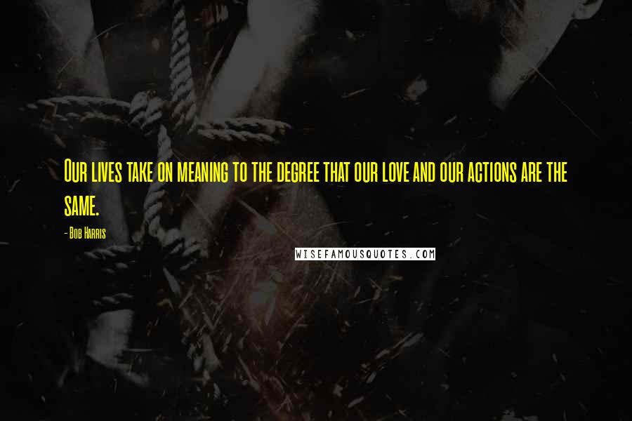 Bob Harris Quotes: Our lives take on meaning to the degree that our love and our actions are the same.