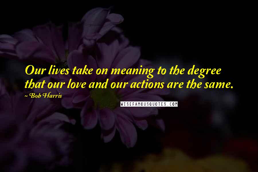 Bob Harris Quotes: Our lives take on meaning to the degree that our love and our actions are the same.