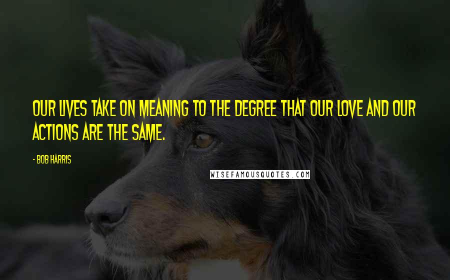 Bob Harris Quotes: Our lives take on meaning to the degree that our love and our actions are the same.