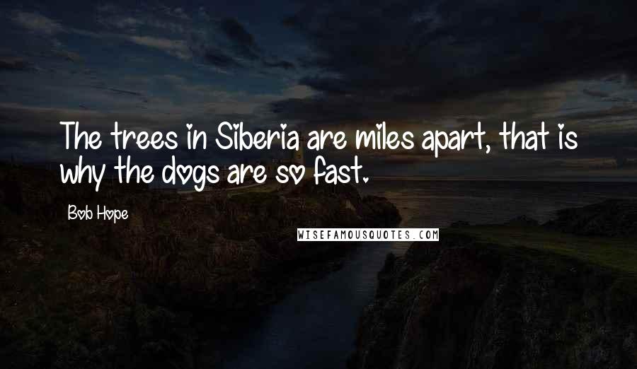 Bob Hope Quotes: The trees in Siberia are miles apart, that is why the dogs are so fast.
