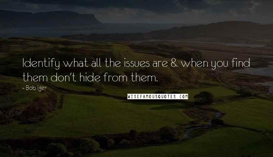 Bob Iger Quotes: Identify what all the issues are & when you find them don't hide from them.