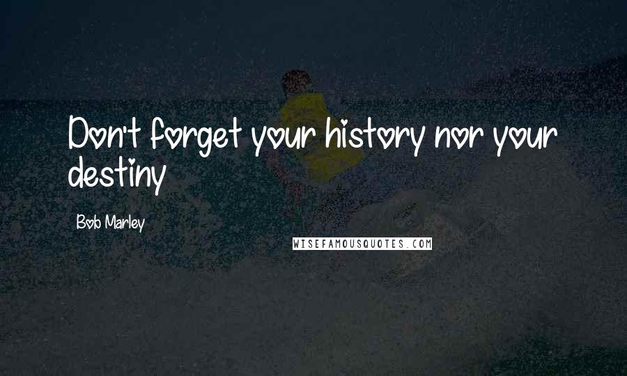 Bob Marley Quotes: Don't forget your history nor your destiny