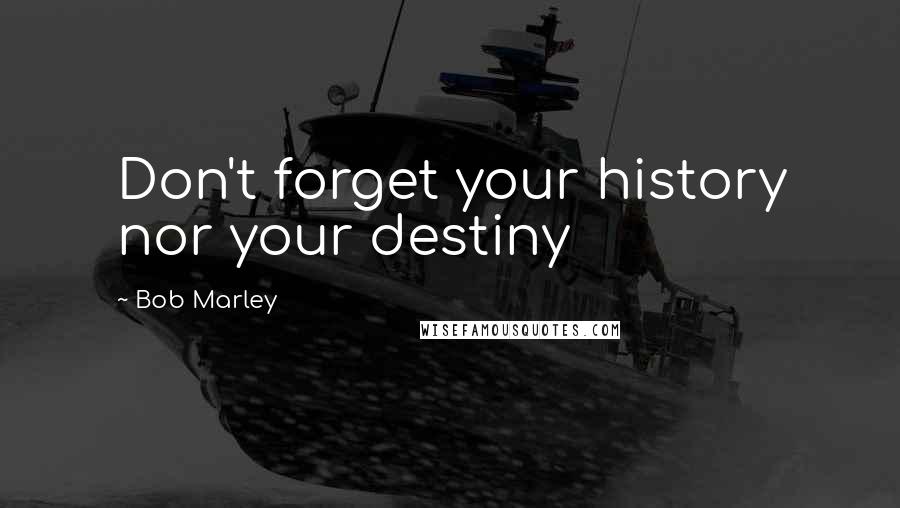 Bob Marley Quotes: Don't forget your history nor your destiny