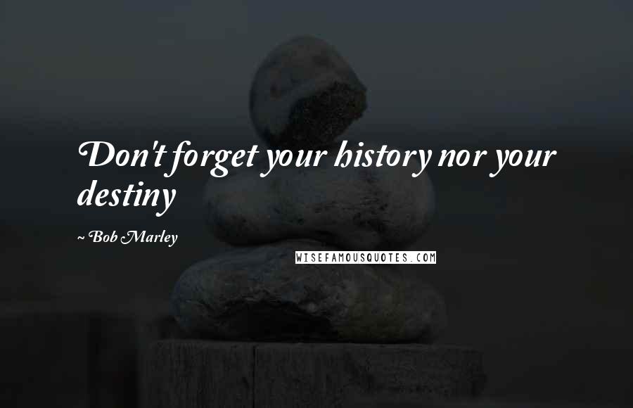 Bob Marley Quotes: Don't forget your history nor your destiny