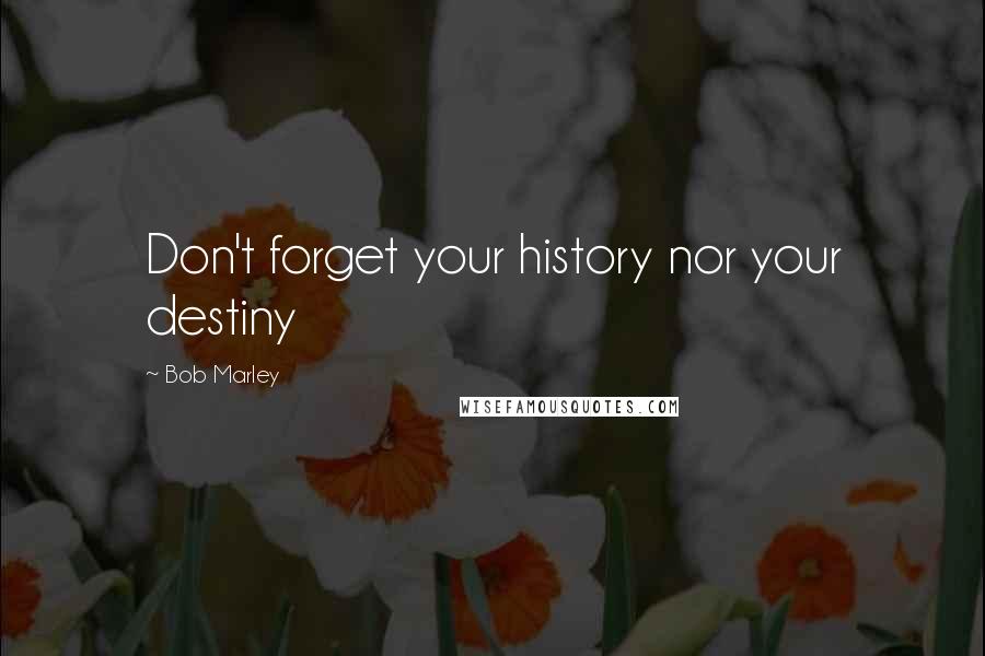 Bob Marley Quotes: Don't forget your history nor your destiny