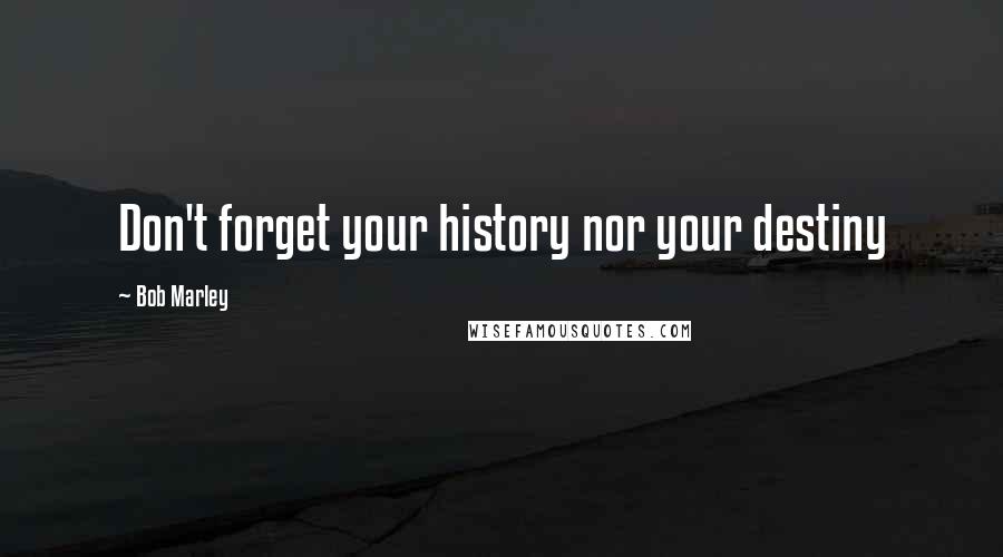 Bob Marley Quotes: Don't forget your history nor your destiny