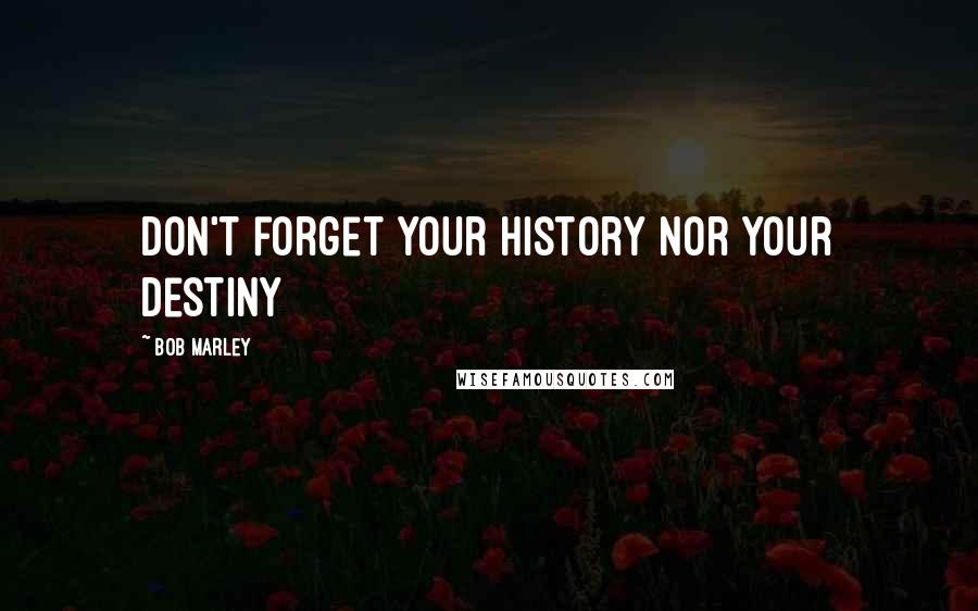 Bob Marley Quotes: Don't forget your history nor your destiny