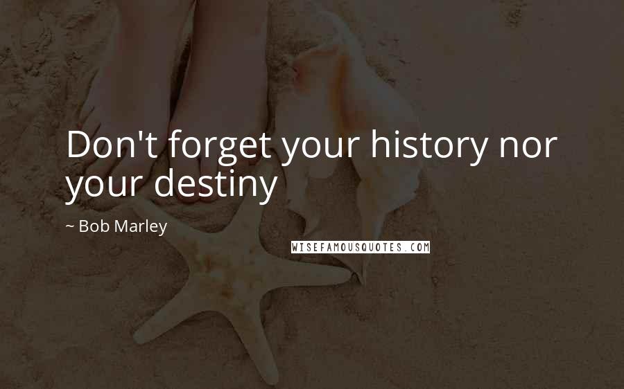 Bob Marley Quotes: Don't forget your history nor your destiny