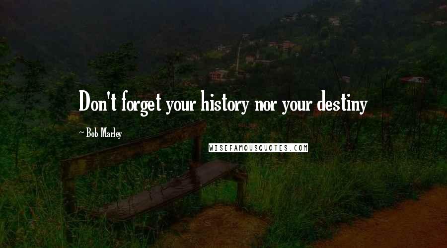 Bob Marley Quotes: Don't forget your history nor your destiny