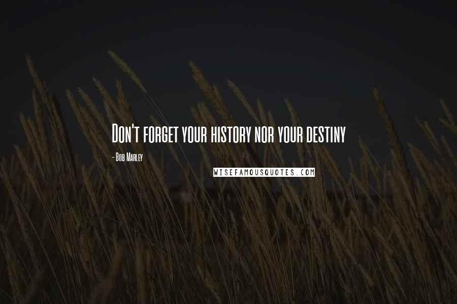 Bob Marley Quotes: Don't forget your history nor your destiny