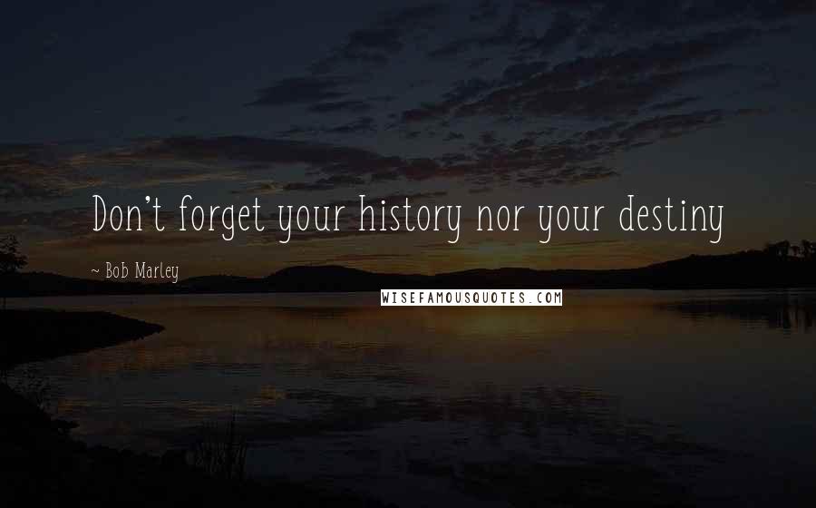 Bob Marley Quotes: Don't forget your history nor your destiny