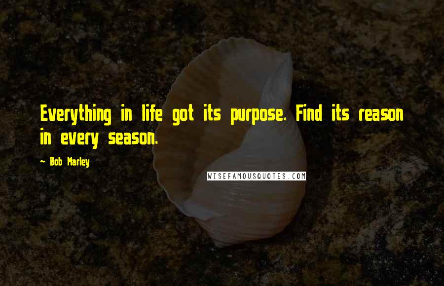 Bob Marley Quotes: Everything in life got its purpose. Find its reason in every season.