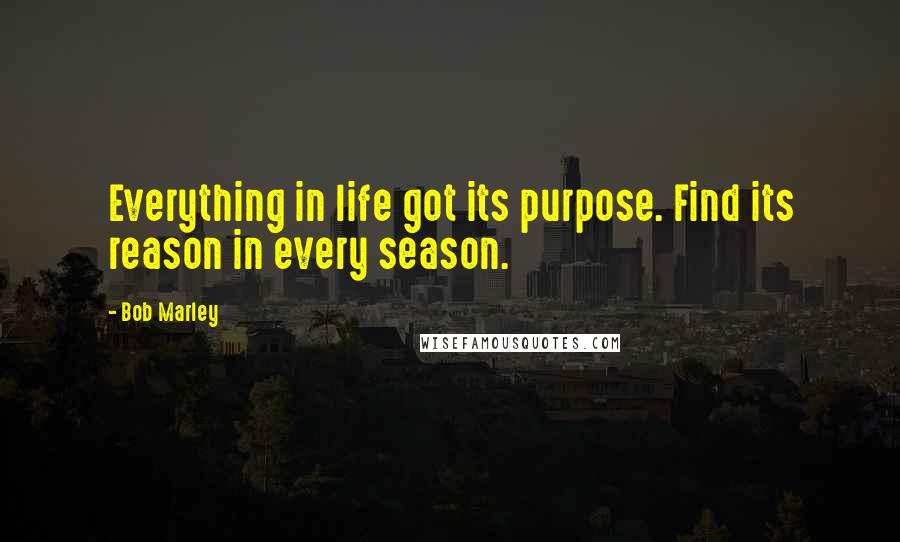 Bob Marley Quotes: Everything in life got its purpose. Find its reason in every season.