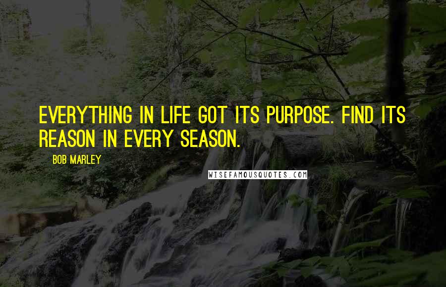 Bob Marley Quotes: Everything in life got its purpose. Find its reason in every season.