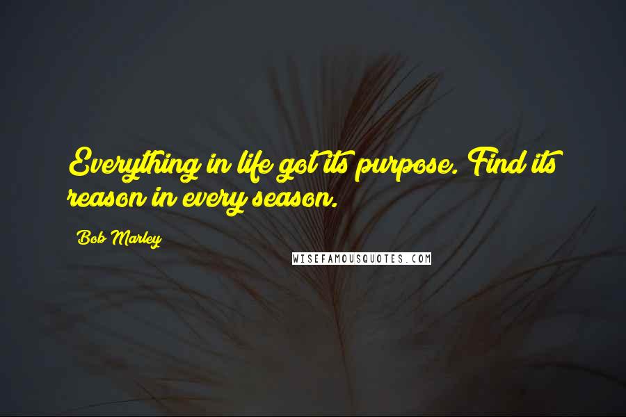 Bob Marley Quotes: Everything in life got its purpose. Find its reason in every season.