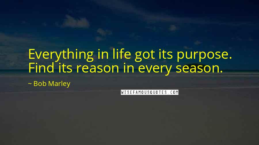 Bob Marley Quotes: Everything in life got its purpose. Find its reason in every season.