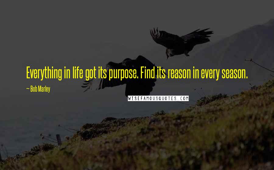 Bob Marley Quotes: Everything in life got its purpose. Find its reason in every season.