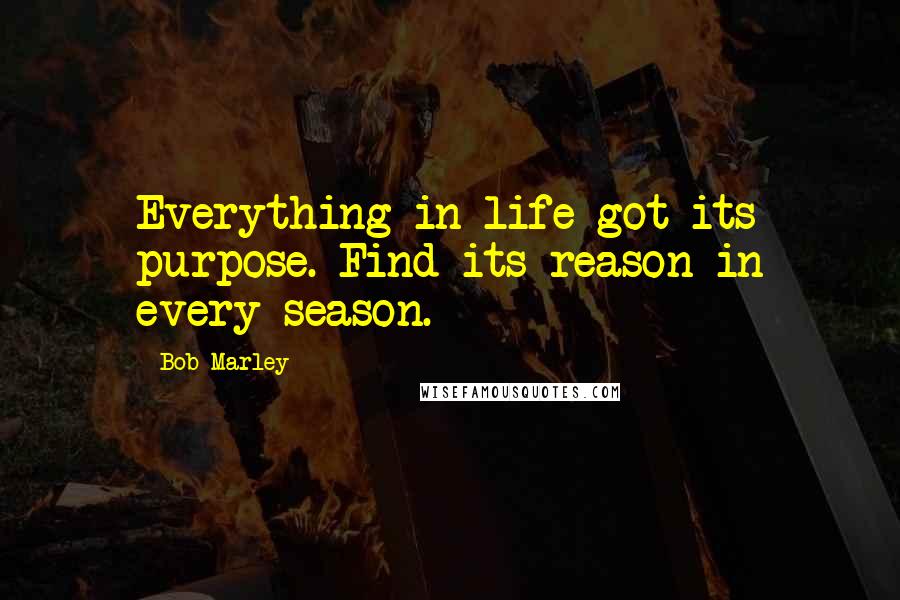 Bob Marley Quotes: Everything in life got its purpose. Find its reason in every season.