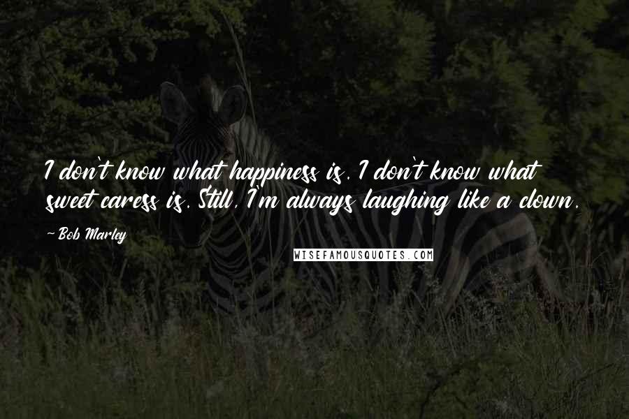 Bob Marley Quotes: I don't know what happiness is. I don't know what sweet caress is. Still, I'm always laughing like a clown.