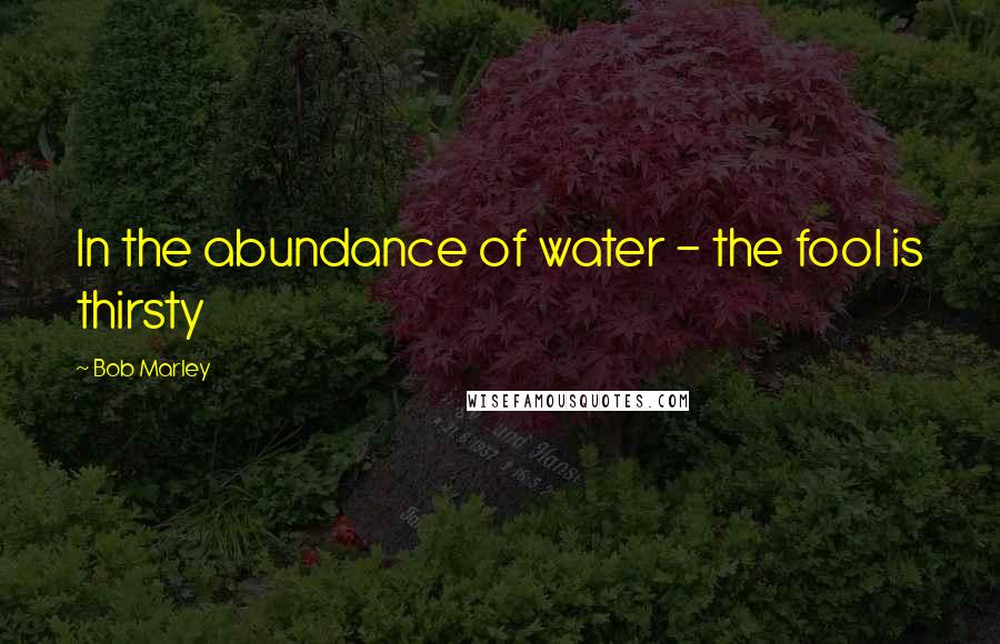 Bob Marley Quotes: In the abundance of water - the fool is thirsty