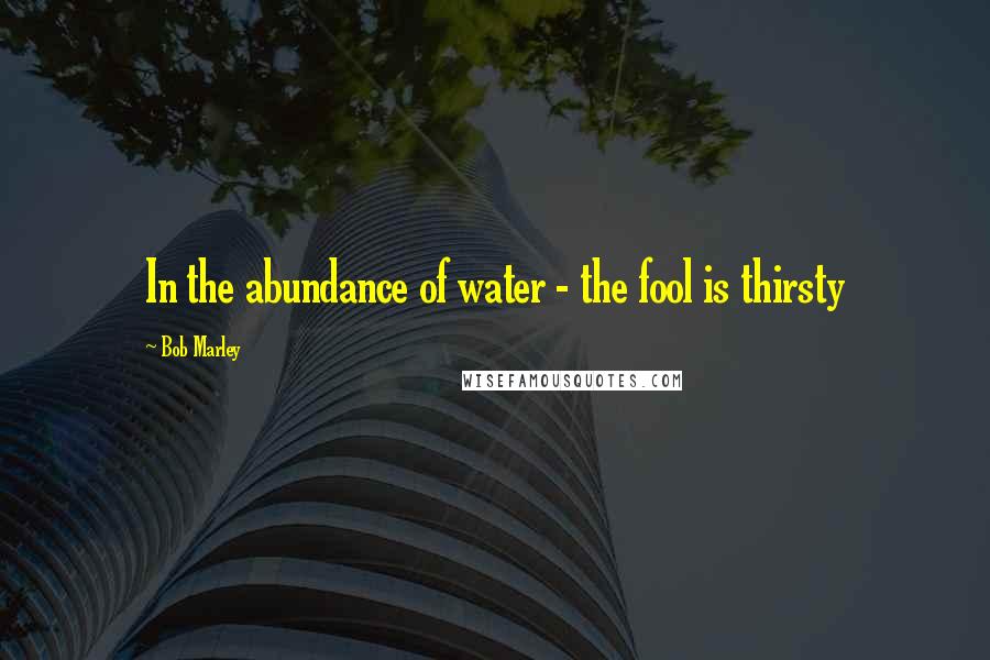 Bob Marley Quotes: In the abundance of water - the fool is thirsty