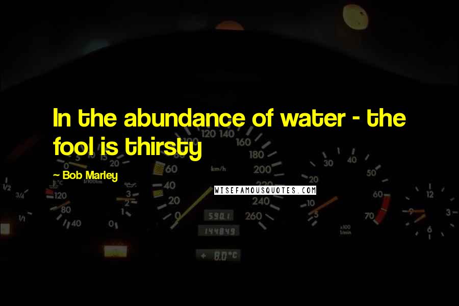 Bob Marley Quotes: In the abundance of water - the fool is thirsty