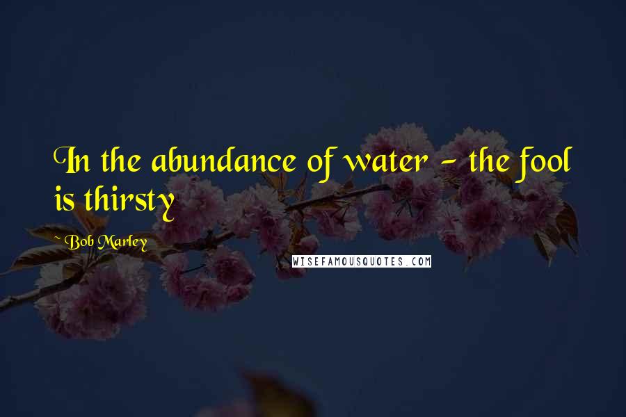 Bob Marley Quotes: In the abundance of water - the fool is thirsty