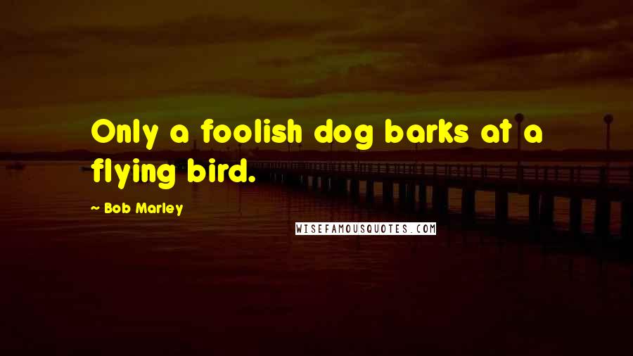 Bob Marley Quotes: Only a foolish dog barks at a flying bird.