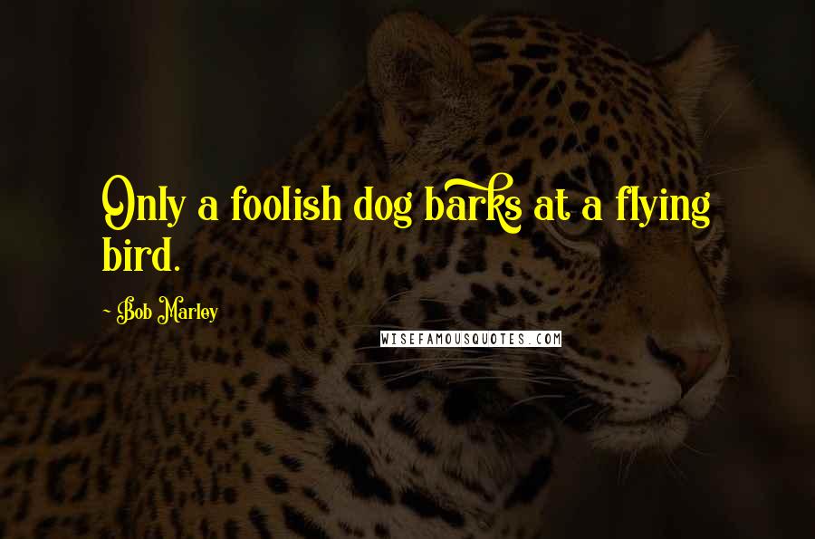 Bob Marley Quotes: Only a foolish dog barks at a flying bird.