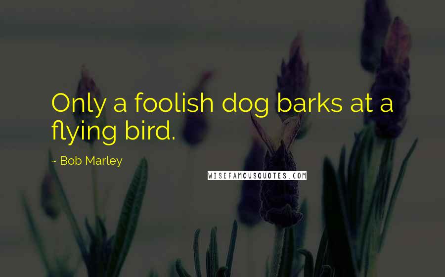 Bob Marley Quotes: Only a foolish dog barks at a flying bird.