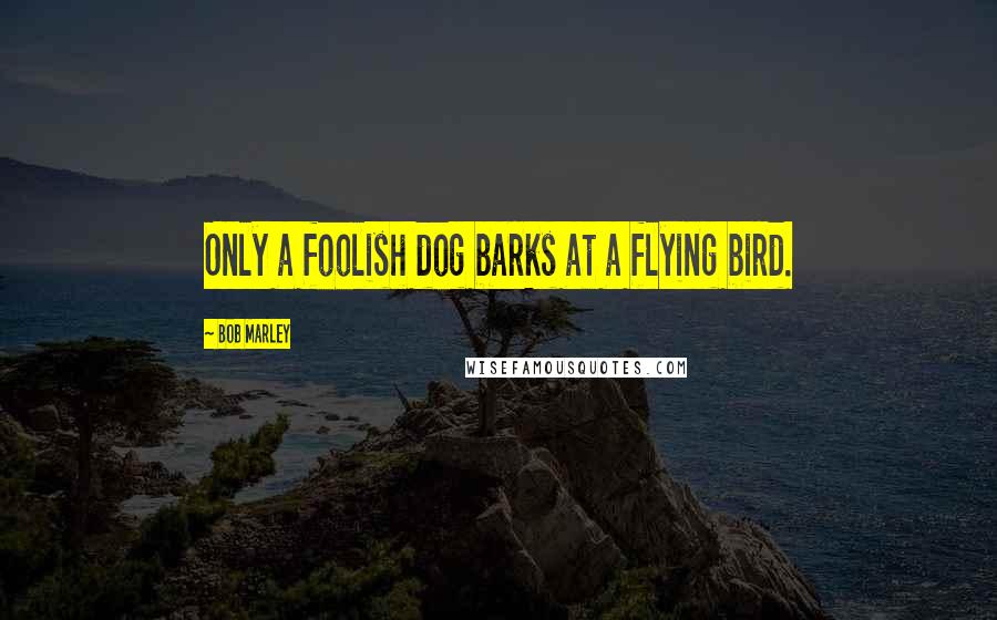 Bob Marley Quotes: Only a foolish dog barks at a flying bird.