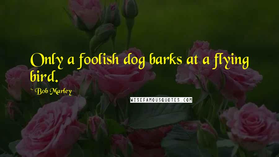 Bob Marley Quotes: Only a foolish dog barks at a flying bird.