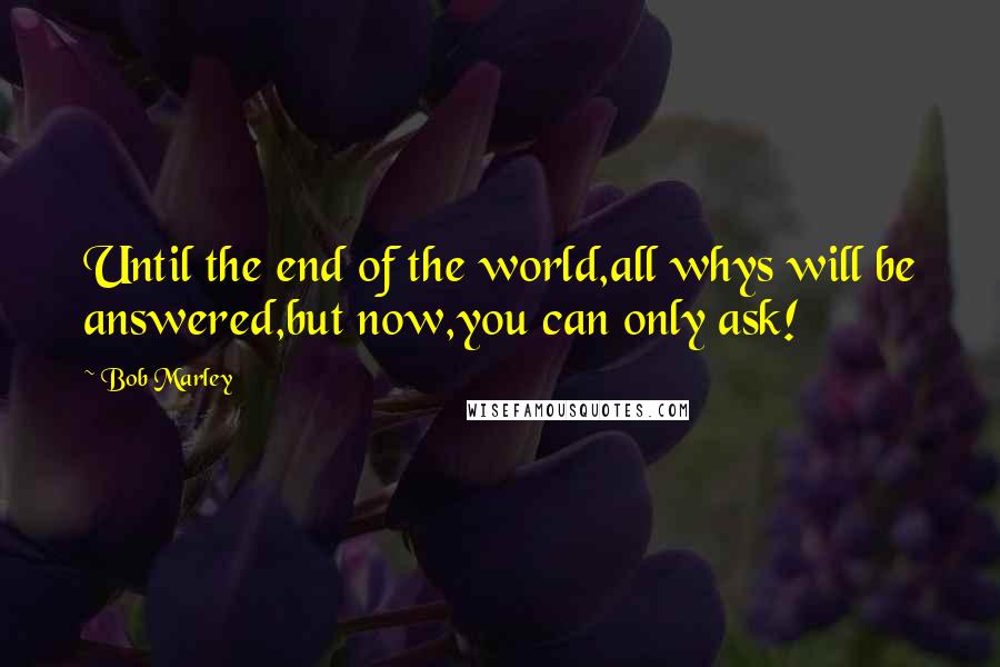 Bob Marley Quotes: Until the end of the world,all whys will be answered,but now,you can only ask!