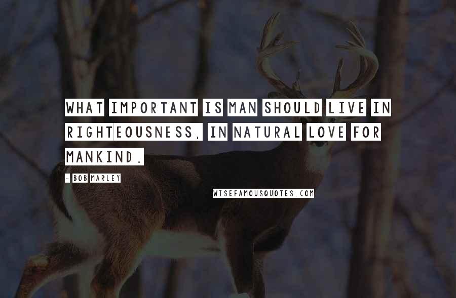 Bob Marley Quotes: What important is man should live in righteousness, in natural love for mankind.