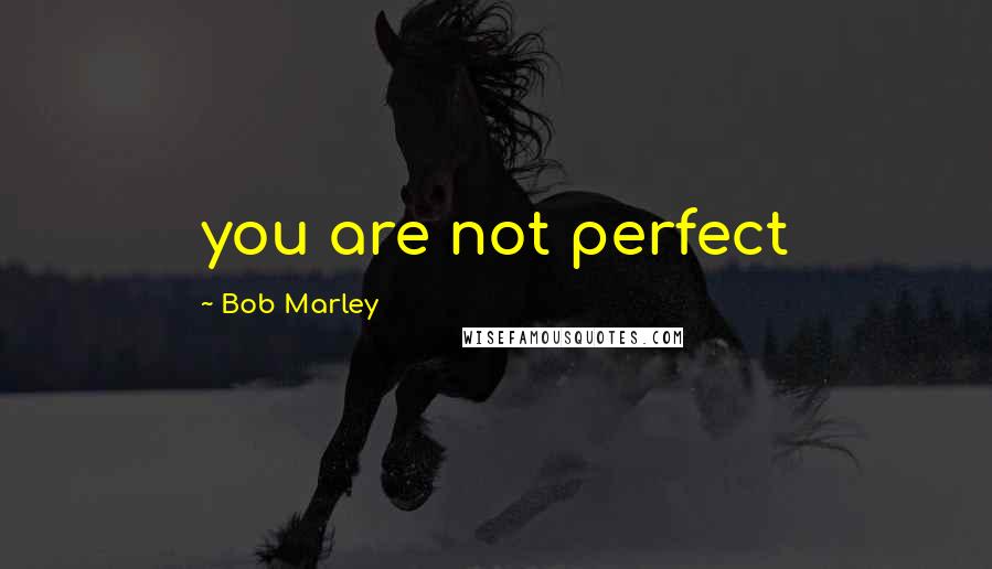 Bob Marley Quotes: you are not perfect