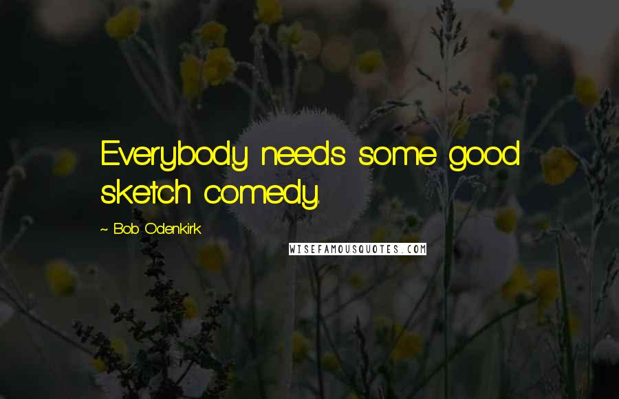 Bob Odenkirk Quotes: Everybody needs some good sketch comedy.