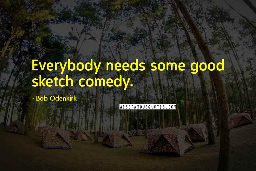 Bob Odenkirk Quotes: Everybody needs some good sketch comedy.