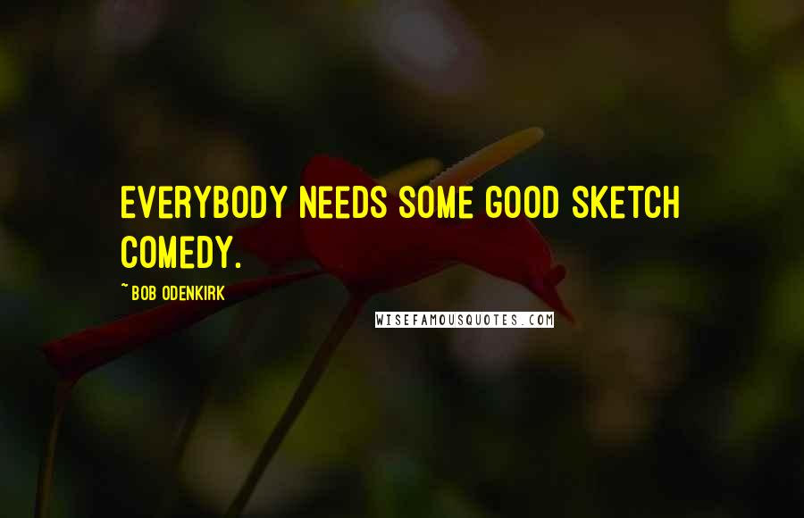 Bob Odenkirk Quotes: Everybody needs some good sketch comedy.