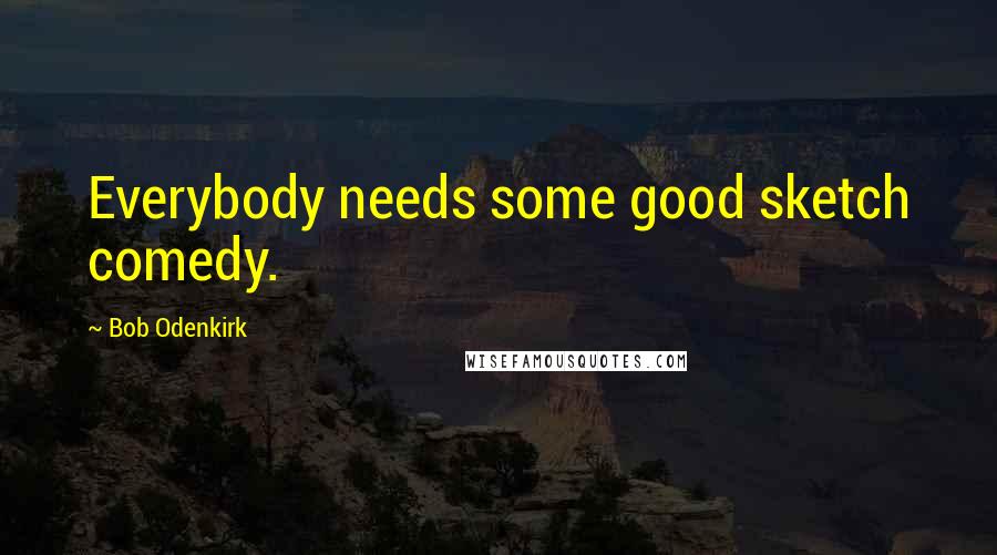 Bob Odenkirk Quotes: Everybody needs some good sketch comedy.