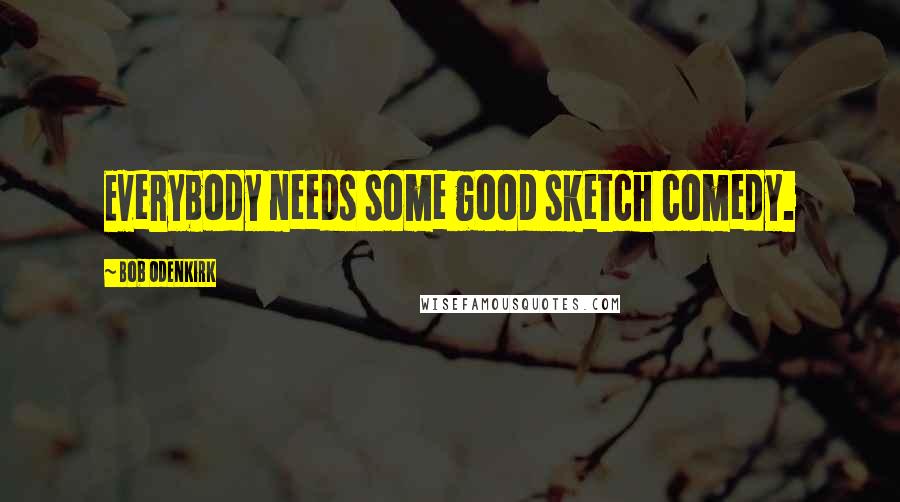 Bob Odenkirk Quotes: Everybody needs some good sketch comedy.
