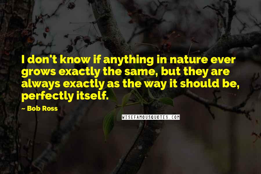Bob Ross Quotes: I don't know if anything in nature ever grows exactly the same, but they are always exactly as the way it should be, perfectly itself.