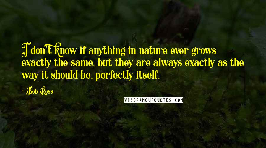 Bob Ross Quotes: I don't know if anything in nature ever grows exactly the same, but they are always exactly as the way it should be, perfectly itself.