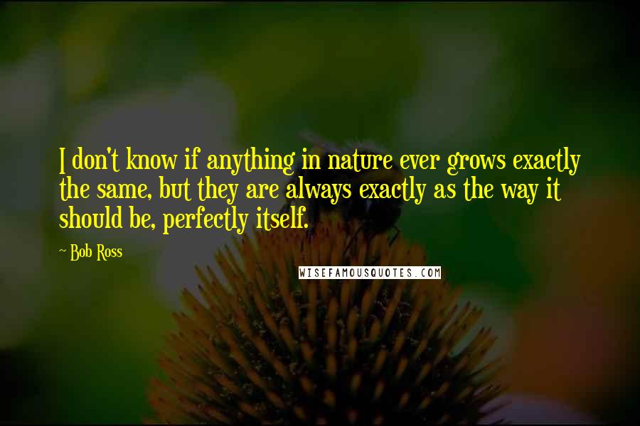 Bob Ross Quotes: I don't know if anything in nature ever grows exactly the same, but they are always exactly as the way it should be, perfectly itself.