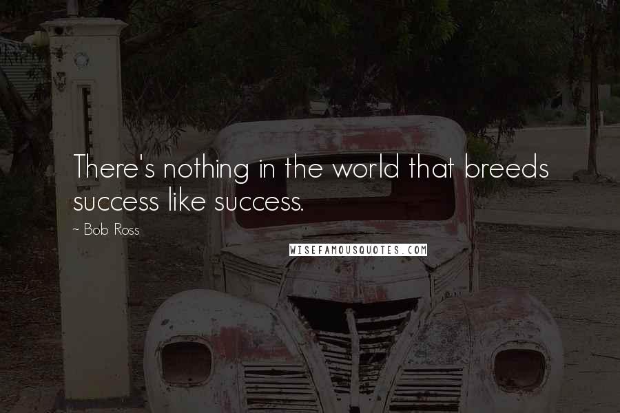 Bob Ross Quotes: There's nothing in the world that breeds success like success.
