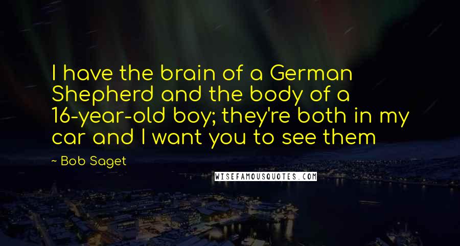 Bob Saget Quotes: I have the brain of a German Shepherd and the body of a 16-year-old boy; they're both in my car and I want you to see them